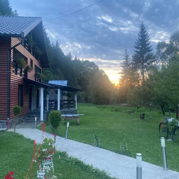 Cabana Briana，位于博尔沙的酒店