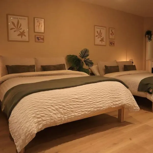 Modern Studio Apartment in Cashel，位于卡舍尔的酒店
