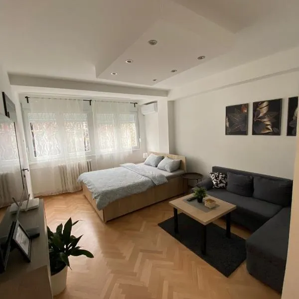 Vist 2 apartment，位于Tošin Bunar的酒店