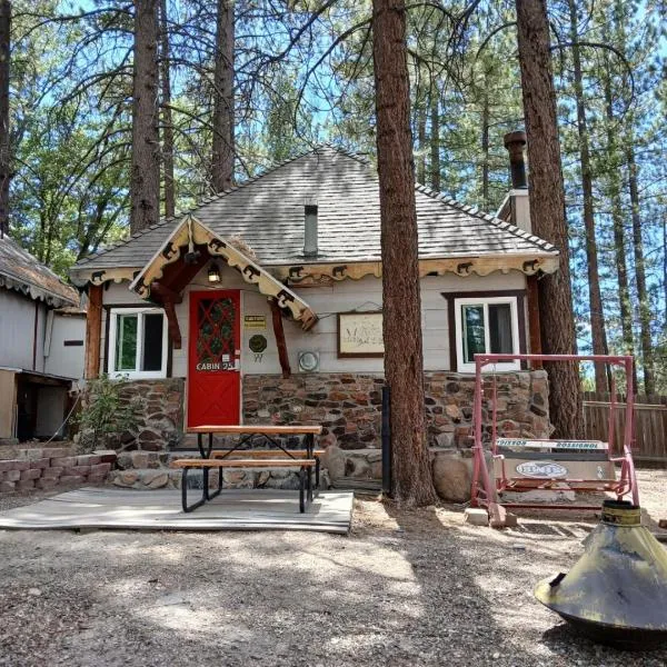 Big Bear Lake - Tulip Lane Cabin #25，位于大熊湖的酒店