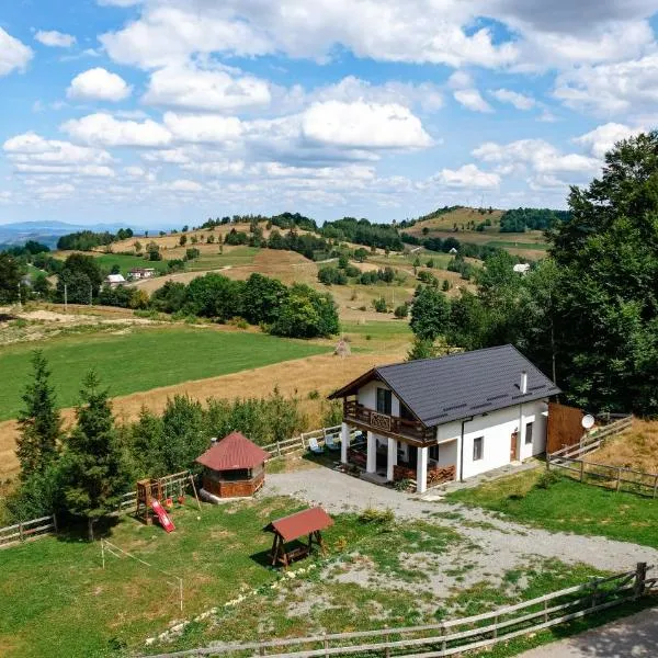 Casa din Munți Vlădeasa，位于Bulz的酒店