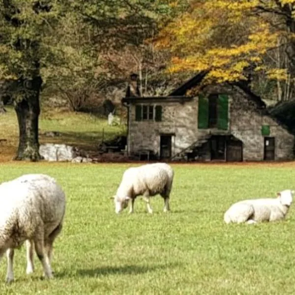 Rustico Lucia，位于Gordevio的酒店