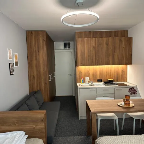 Apartman Kod Gondole Vila Bela Reka，位于布尔泽策的酒店
