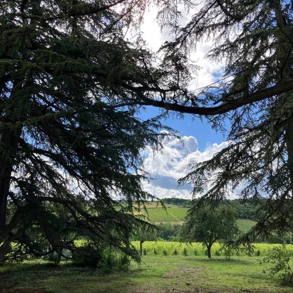 Gîte Les Cèdres，位于Pommiers的酒店