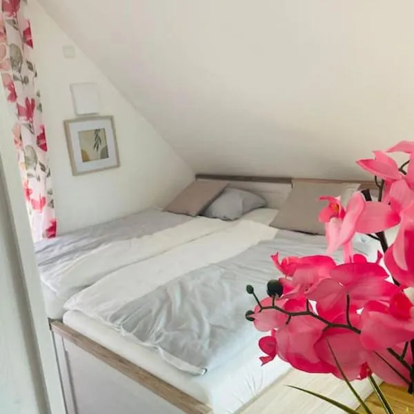 Apartment Scholle Steinbeck，位于Recke的酒店