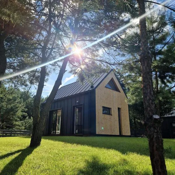 Osada pod Gwiazdami Łasko & SPA - Premium, ogrodzony, ognisko, grill, taras, Las, JEZIORA, KAJAKI, Plaża, dostępne SAUNA i JACUZZI，位于Łasko的酒店