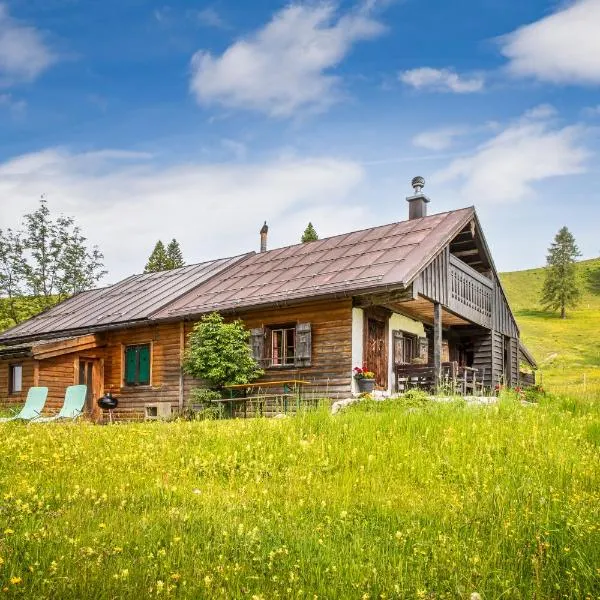 Schnaitstadl-Alm Selbstversorgerhütte，位于萨尔察赫河畔戈灵的酒店