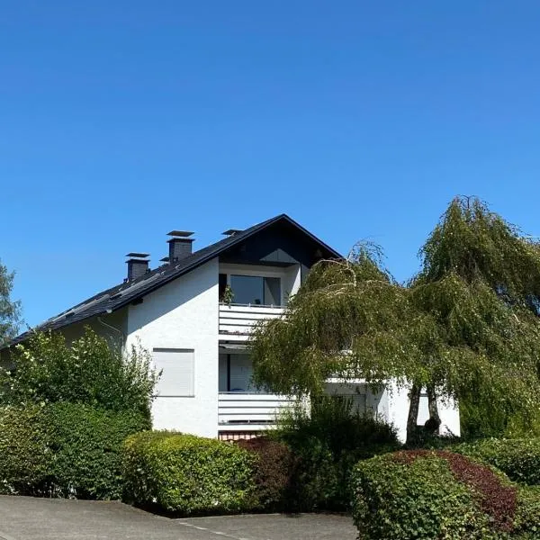 FeWo Skywalk Willingen，位于Stryck的酒店