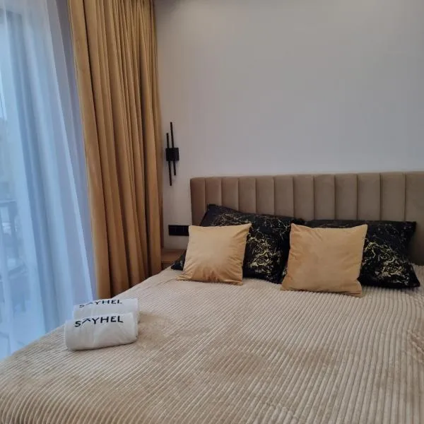 SkyHel Apartament 103，位于赫尔的酒店