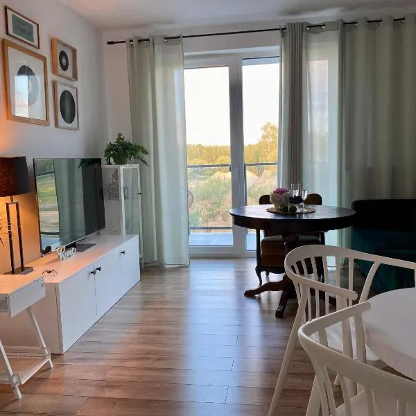 Apartament Fryderyk Łagów，位于希维博津的酒店