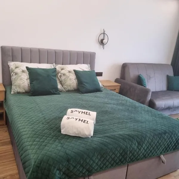 SkyHel Apartament 201，位于赫尔的酒店