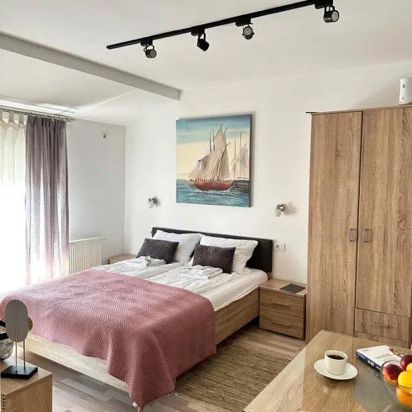 Apartments Velickovic，位于索科矿泉村的酒店