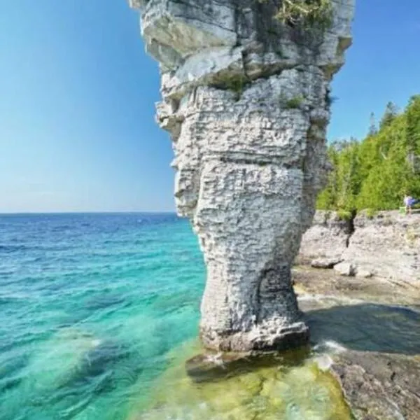 Scenic Inn Canada，位于托伯莫里的酒店
