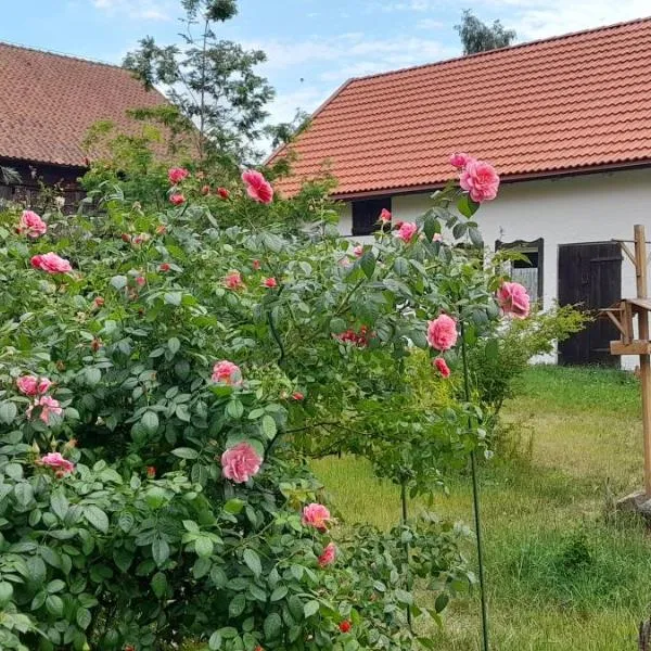 Ostoja Kamionki，位于吉日茨科的酒店