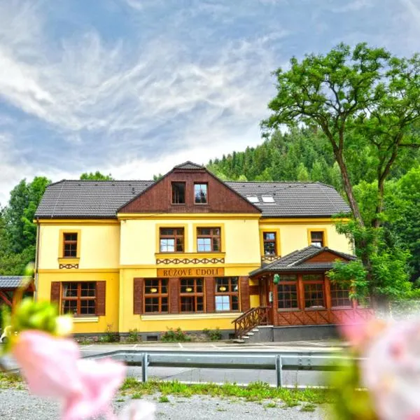 Hotel Růžové údolí，位于Pivonín的酒店