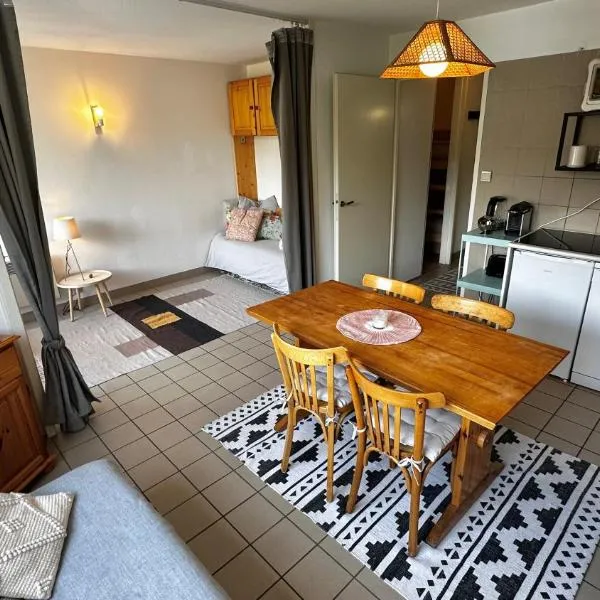 Appartement Centre Ville pied de piste Briançon，位于布里昂松的酒店
