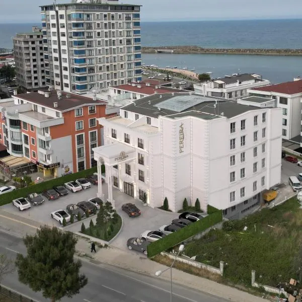 Pereira Samsun，位于Dereköy的酒店