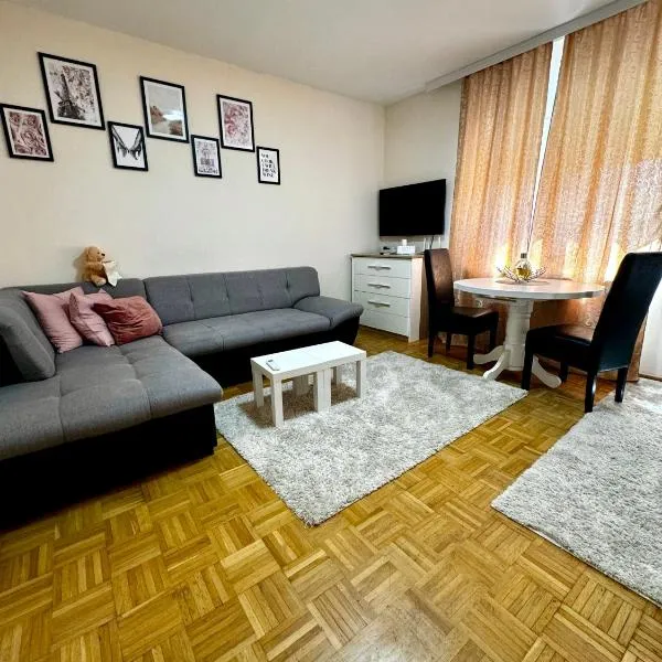 Lovely Apartment with terrace/Divan apartman sa terasom，位于Gornja Toponica的酒店