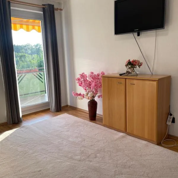 Ferienwohnung Dinh，位于Seefelden的酒店