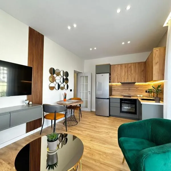 Ideal Apartment Shkoder，位于斯库台的酒店