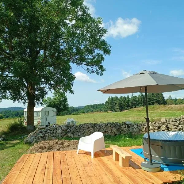 Caravane Vintage insolite avec jacuzzi au calme，位于Sauvessanges的酒店