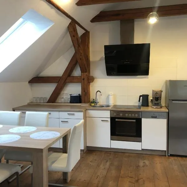Apartmány Kosov 1，位于Bor的酒店