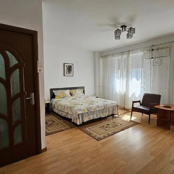 Ultracentral free private parking，位于普洛耶什蒂的酒店