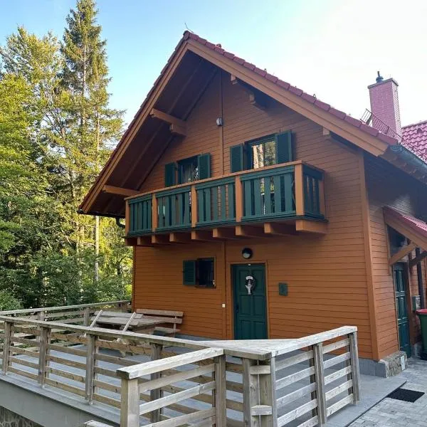 Chalet ANRA Pohorje，位于利姆斯的酒店