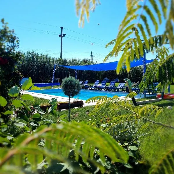 Casa cu Trandafiri Murighiol，位于穆里吉奥尔的酒店