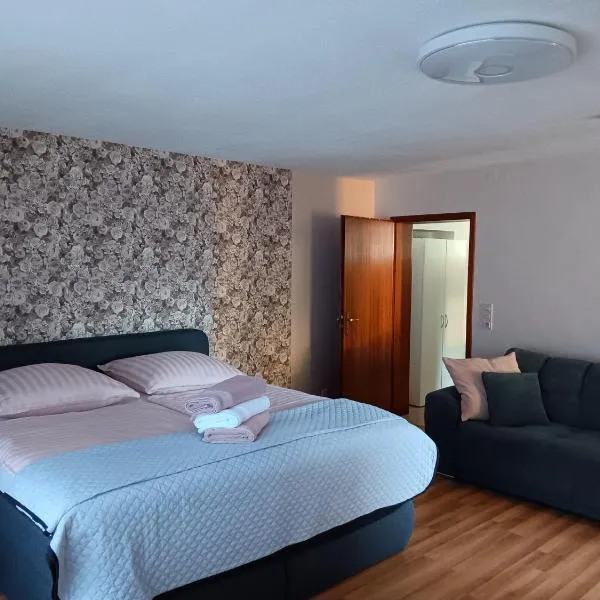 Ninas Ferienwohnung，位于Hinterweiler的酒店