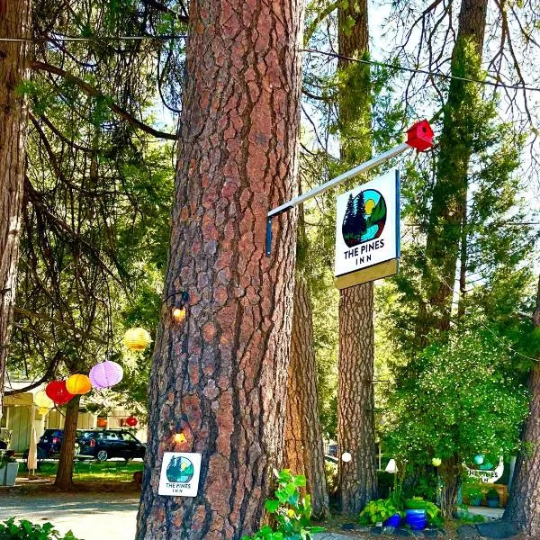 The Pines Inn and Cottages，位于草谷的酒店