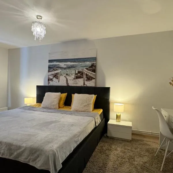 Elite Apartament spațios cu 2 dormitoare - Parcare gratuită - Wi-Fi rapid - Timișoara，位于蒂米什瓦拉的酒店