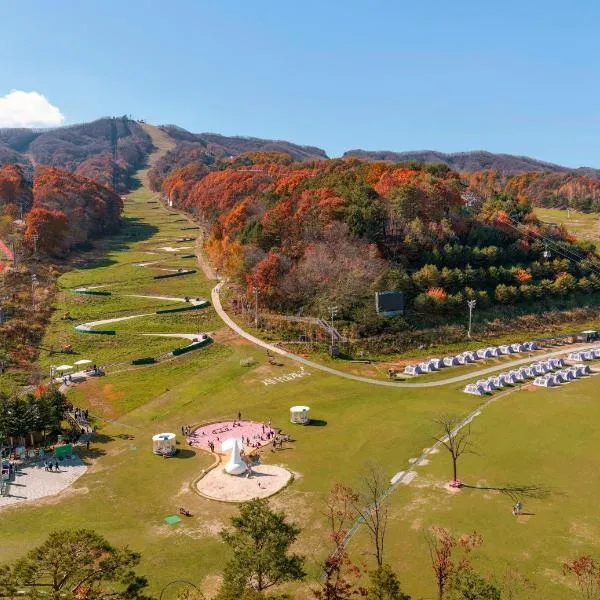 Phoenix Hotel Pyeongchang，位于蓬坪面的酒店