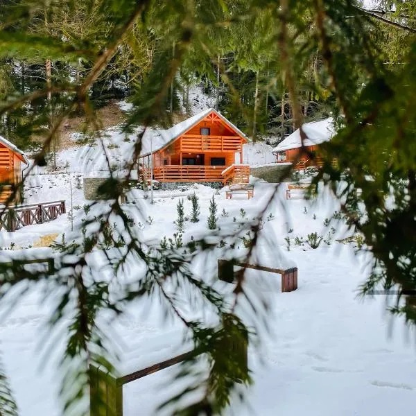 Lopušná dolina Resort，位于韦尔卡鲁穆尼卡的酒店