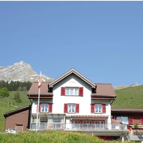 Gasthaus Schwand，位于Gadmen的酒店