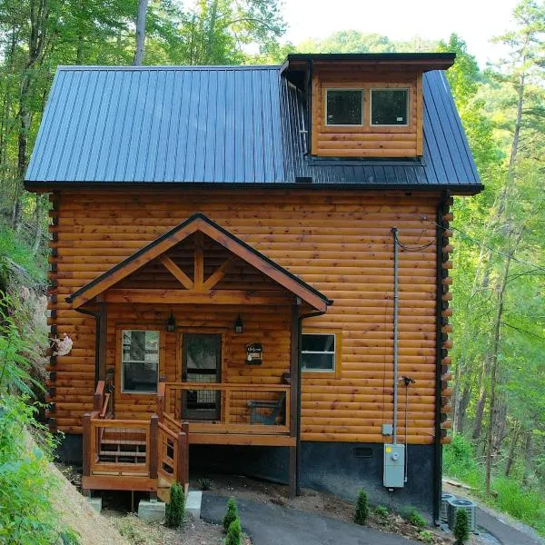 Hawks Nest Mountain Cabin，位于Hornet的酒店