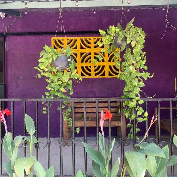 ORidleys Hostel16，位于Barra de Potosi的酒店