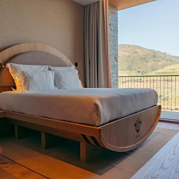 Quinta São Jose do Barrilario Douro Wine Hotel e Spa，位于Alfolões的酒店