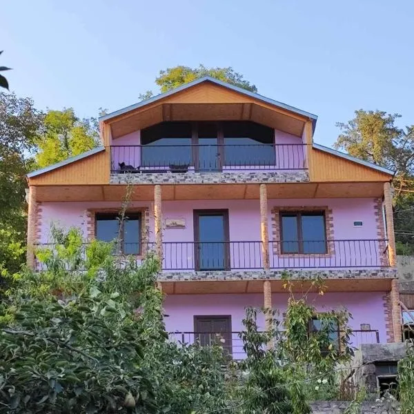 Green guest house，位于迪利然的酒店