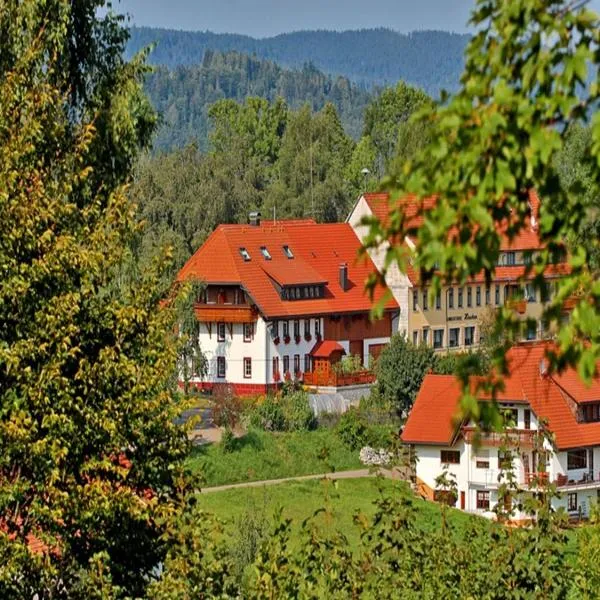 Haus Schlageter，位于Dachsberg im Schwarzwald的酒店