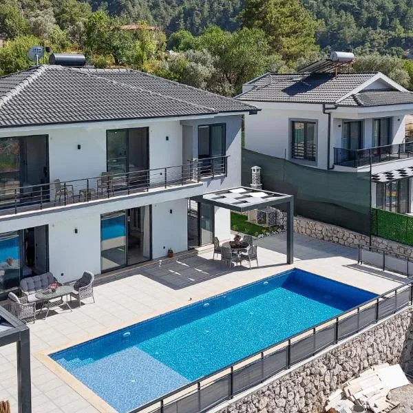 Villa DeFnE Fethiye，位于费特希耶的酒店