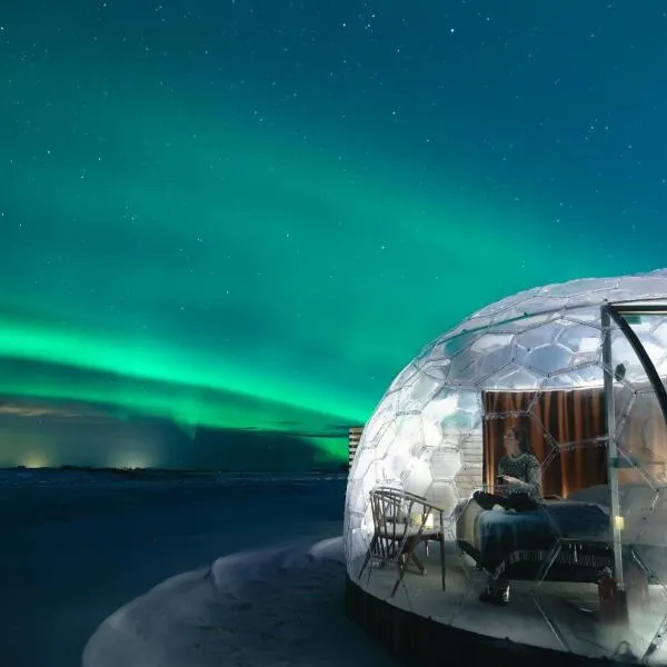 Aurora Igloo，位于Ásmundarstaðir的酒店