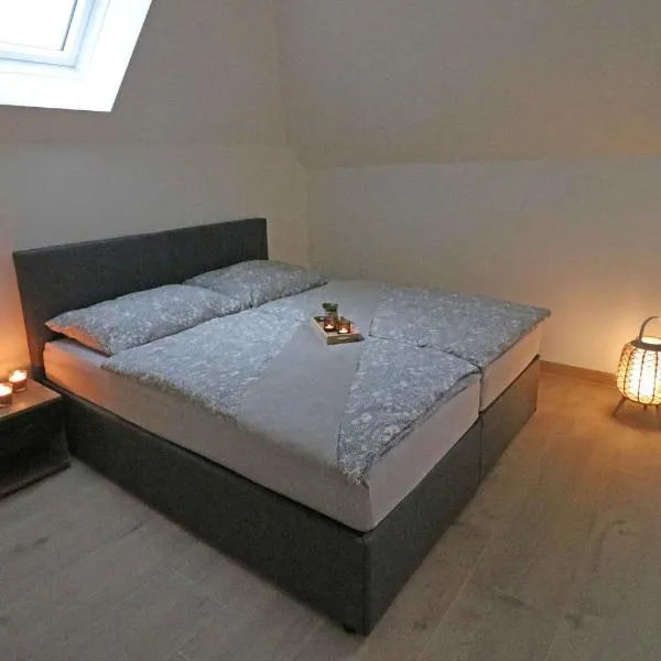 Steirermaxx Apartments，位于Gaal的酒店