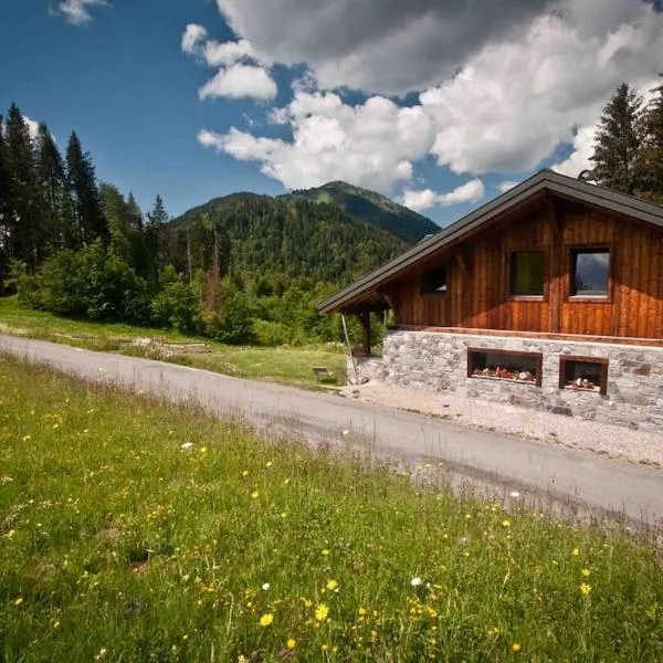 Appartement 2 à 4 personnes Chalet Le Bolet，位于莫尔济讷的酒店