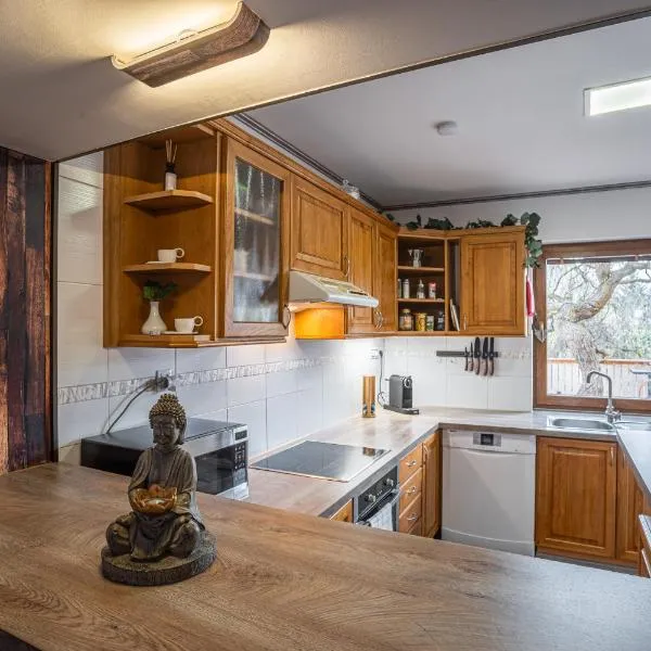 Elements Apartments & Renata，位于Božičany的酒店