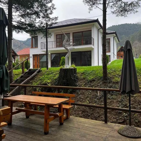 Villa Bella Una - Apartman prizemlje，位于察津的酒店