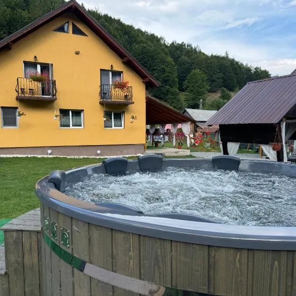 Casa Natalia Raisa Arieșeni，位于阿列谢尼的酒店