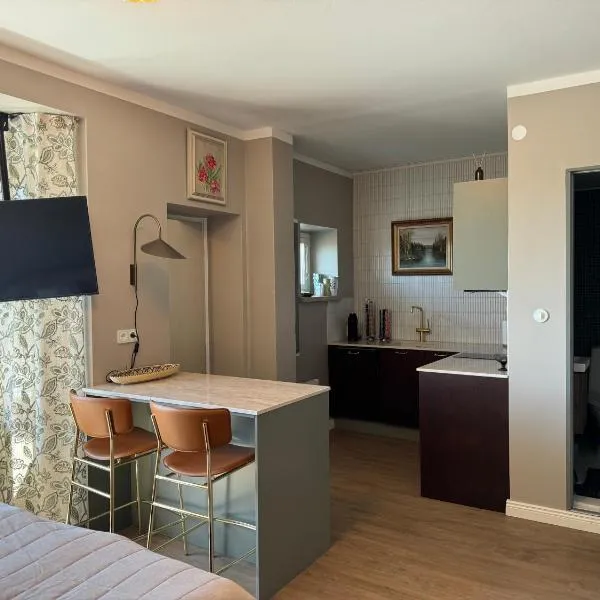 Tyylikäs maisema-asunto asemalla，位于拉赫蒂的酒店