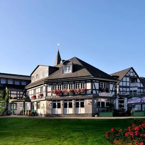 Landidyll Hotel Haus Hochstein，位于Stesse的酒店