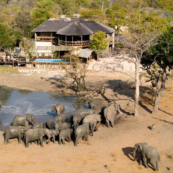 CHOBE MOPANI FOREST LODGE & CAMP SITE，位于Lesoma的酒店